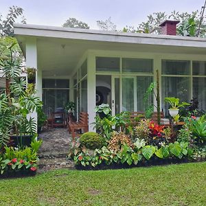 The Forest Villa